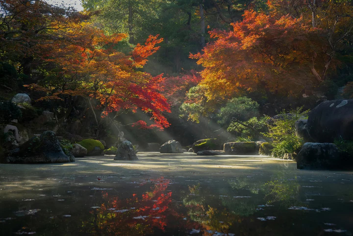 Zen Garden