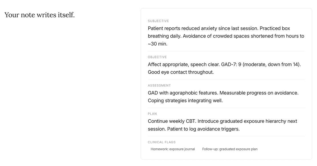 Therapist using Zenspace on laptop